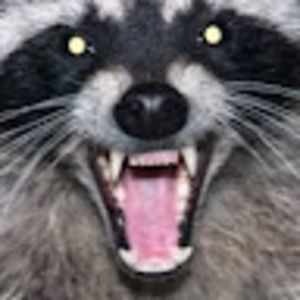 Meet your Posher, Itsjustgiss